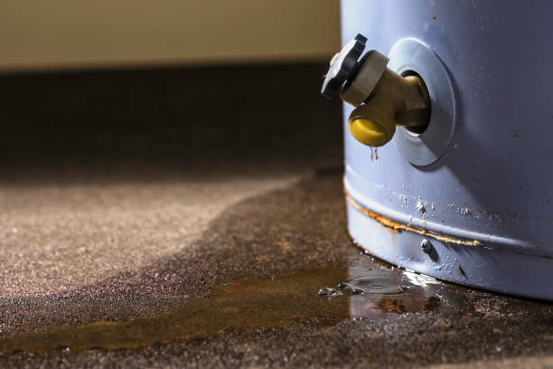 Best Flood restoration services  in Cetronia, PA