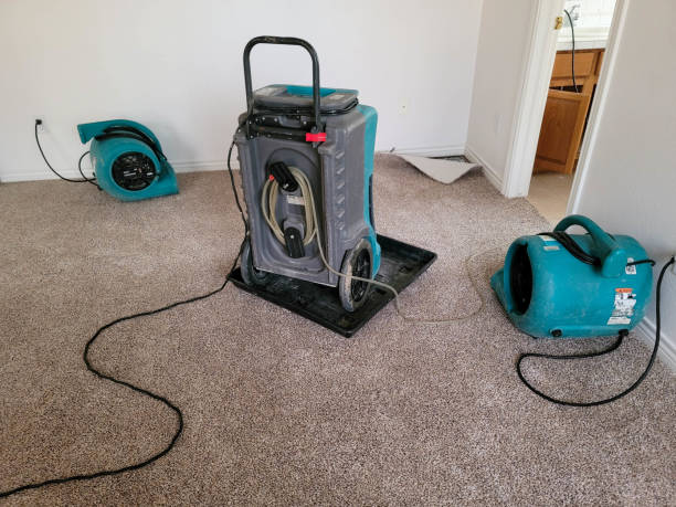 Best Sewage cleanup and water damage restoration  in Cetronia, PA