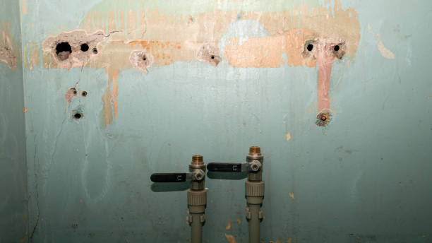 Best Water damage restoration near me  in Cetronia, PA