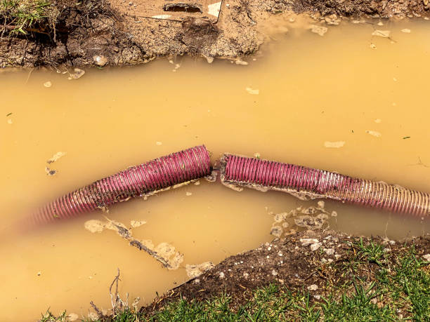 Best Water damage cleanup near me  in Cetronia, PA